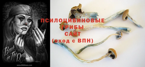 МДПВ Аркадак