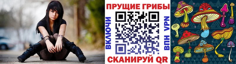 продажа наркотиков  мориарти формула  Галлюциногенные грибы ЛСД  Мамадыш 