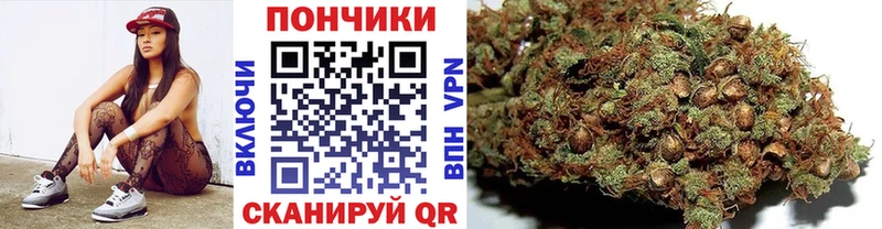 Конопля Bruce Banner  даркнет как зайти  Мамадыш  где найти  